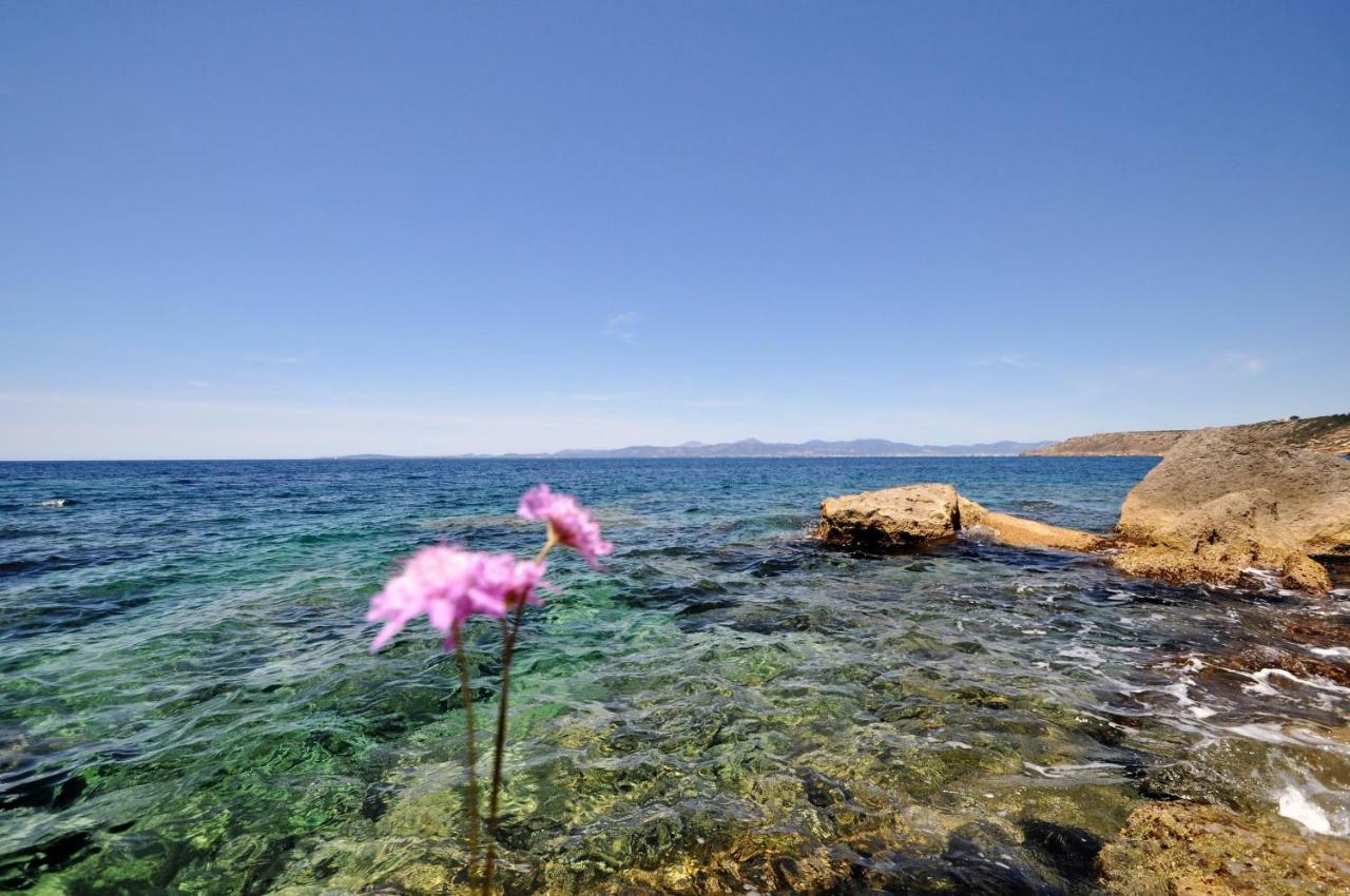 Villa Hugo- Badia Gran- Llucmajor- Mallorca المظهر الخارجي الصورة